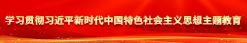 大鸡巴插进去好爽视频学习贯彻习近平新时代中国特色社会主义思想主题教育